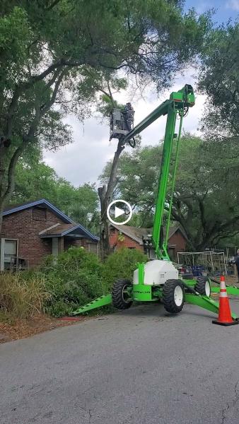 Triangle Tree Service & Landscaping