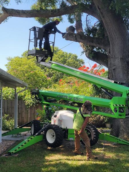 Triangle Tree Service & Landscaping