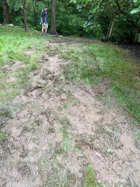 Precision Cutz Lawn Care