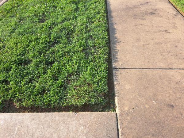 Bren's Lawn and Landscape