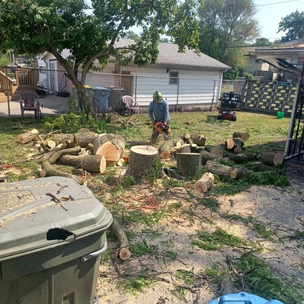 Paradise Tree Service LLC
