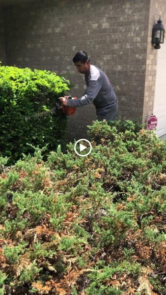 Cortez Landscaping