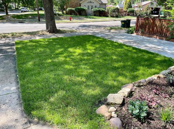 Cortez Landscaping