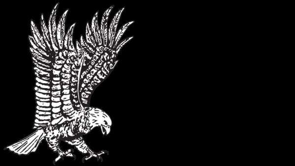 Eagle Electric