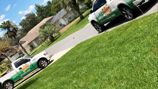 Murphy's Sod & Landscaping