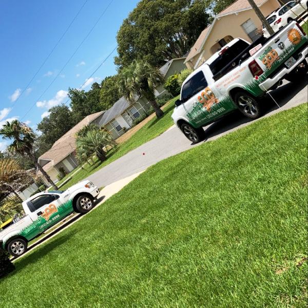 Murphy's Sod & Landscaping
