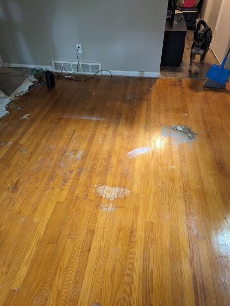 Vera Flooring