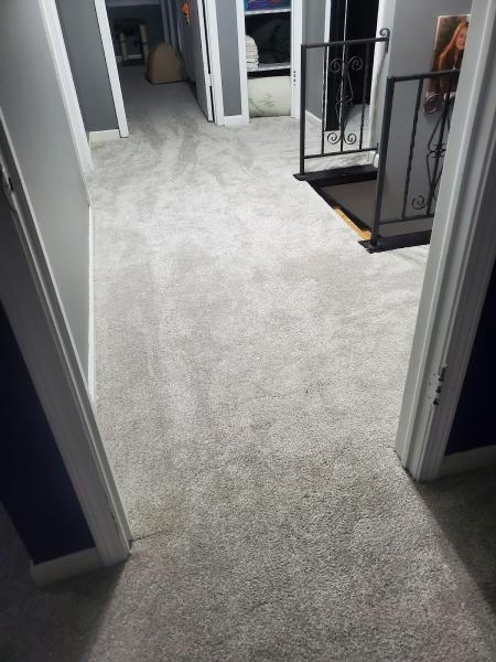 Carpet Star
