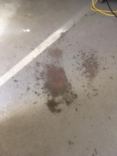 Simply Clean Carpets
