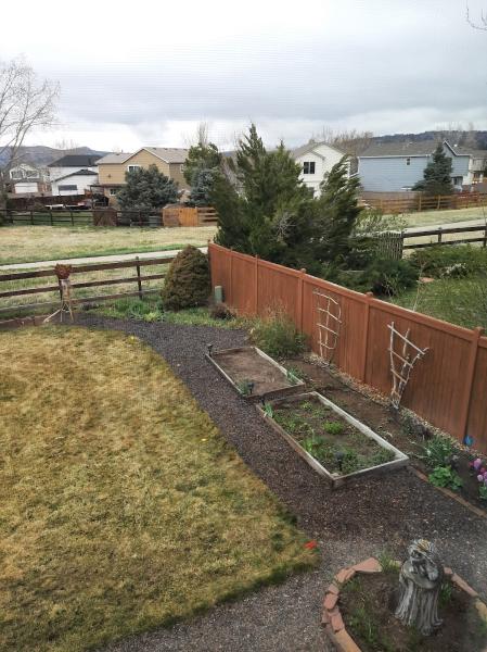 Colorado's Greenest Thumb LLC