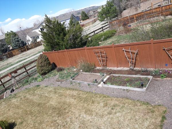 Colorado's Greenest Thumb LLC
