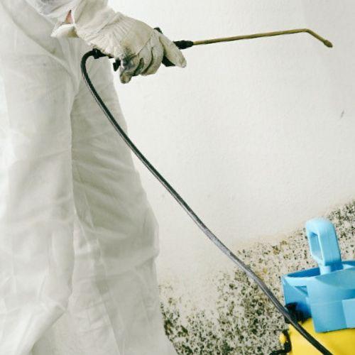 Jonell Mold Remediation