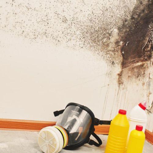 Jonell Mold Remediation