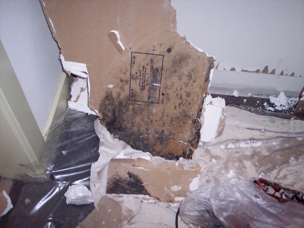 Accurate Mold Restoration