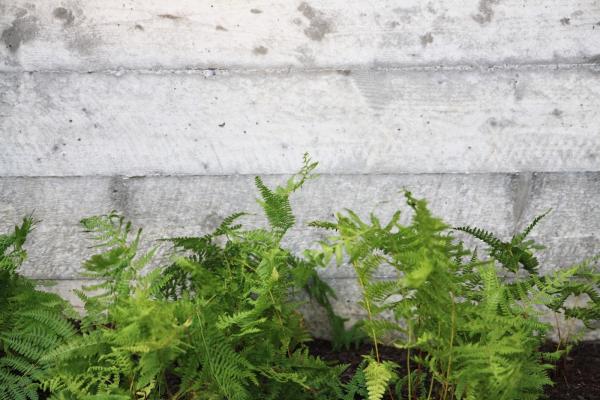 Siteform Studio Landscape Architecture