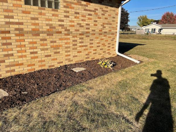 Neumann Lawns