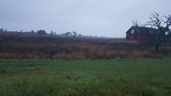 Tallgrass Restoration