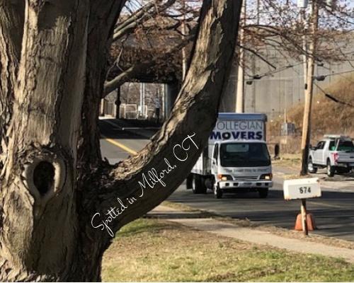 Collegian Movers Inc