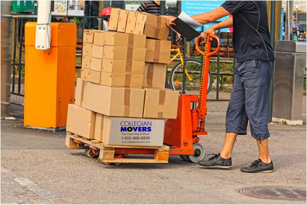Collegian Movers Inc