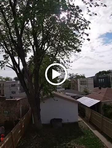 RGP Tree Service