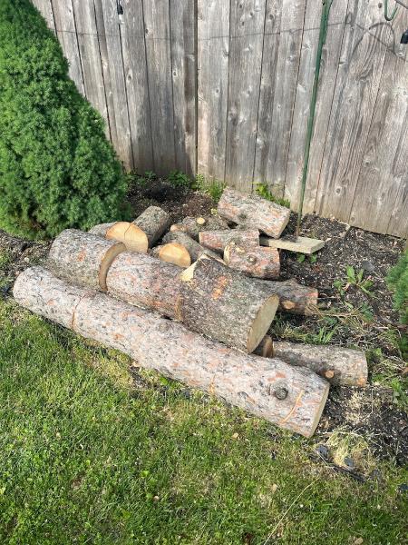 RGP Tree Service
