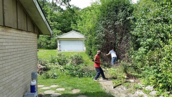 A W Total Tree Services