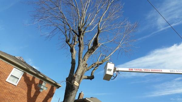 A W Total Tree Services