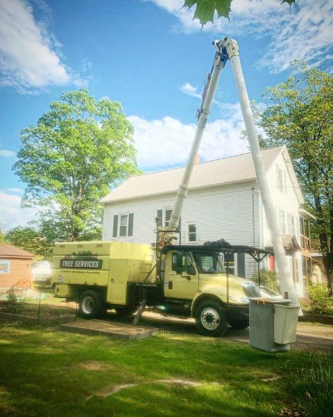 Petrichor Tree Service