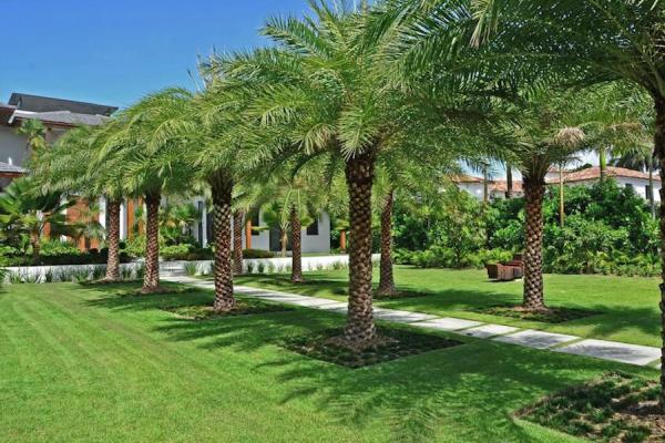 Hawthorne's Tree Service Lakeland FL
