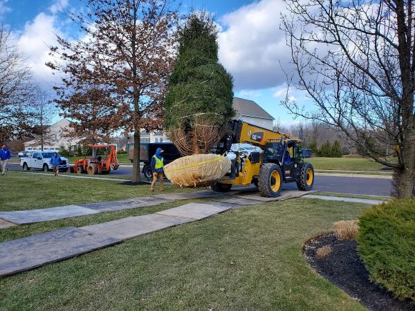 Bluestone Landscape Design Group
