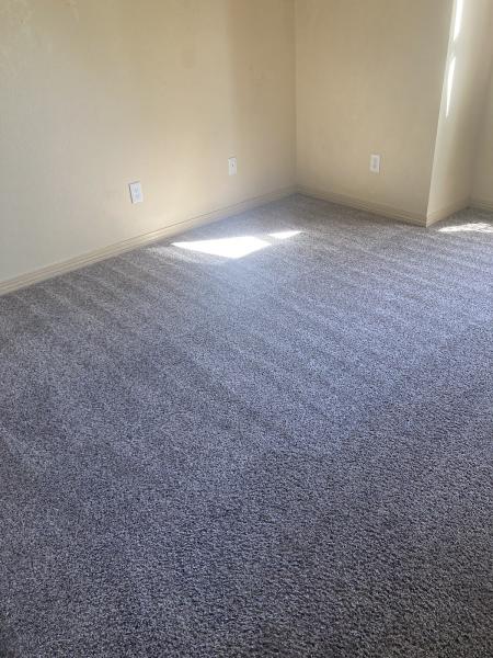 Ameri Carpet Cleaning