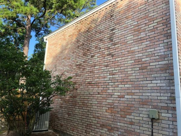 Pristine Exterior Clean