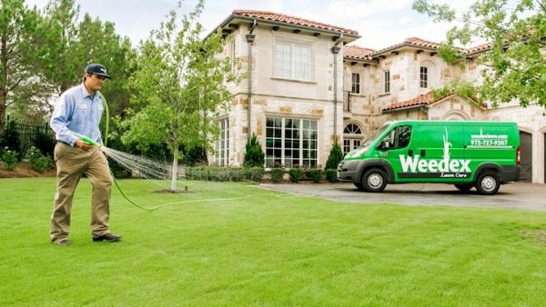 Weedex Lawn Care