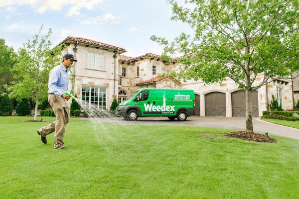 Weedex Lawn Care