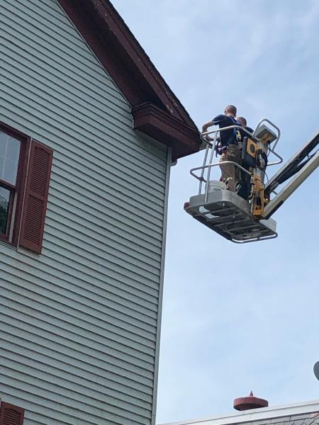 Accurate Pest Management