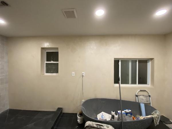 Desert Rose Painting and Construction