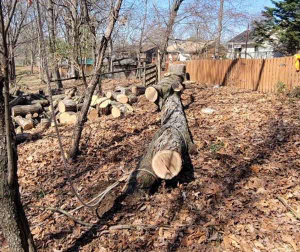 Hernandez Tree Services
