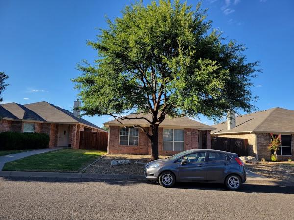 Affordable Fencing and Tree Trimming