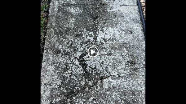 Sunshine Pressure Washing Services