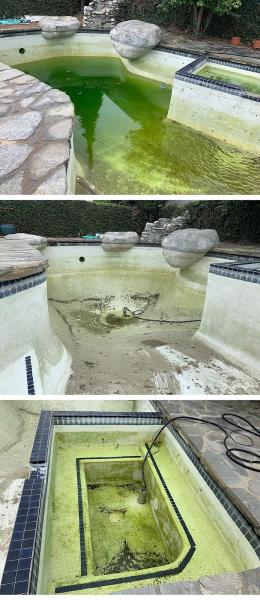 Puck Pool Service
