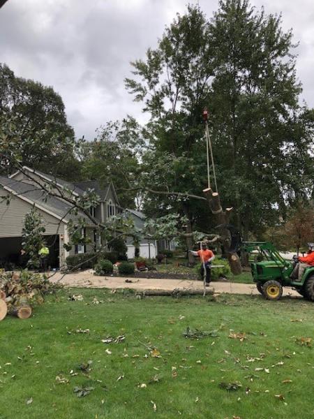 Blaha's Landscaping and Tree Service LLC