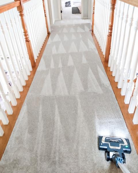 Organically Maid
