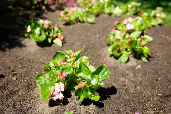 Aguiar's Landscaping