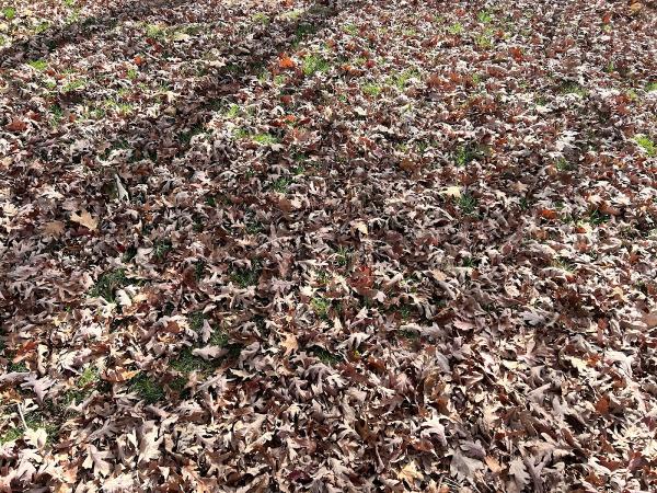 Stone Creek Landscaping Inc.