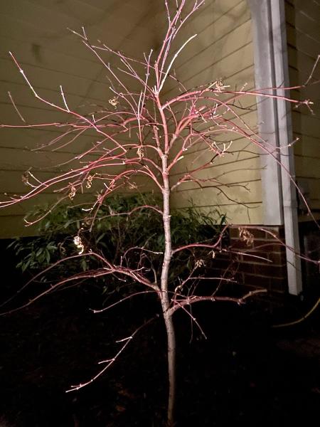 Stone Creek Landscaping Inc.