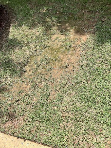Stone Creek Landscaping Inc.