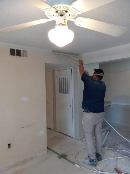 Painting and Cleaning Services