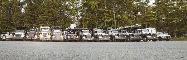 New England Tree Masters