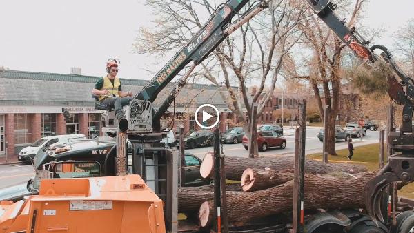 New England Tree Masters
