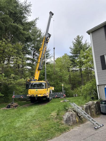 New England Tree Masters